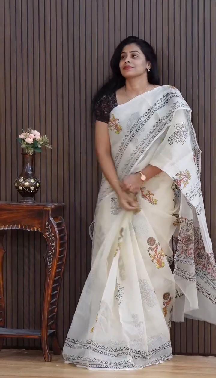 Traditional Kota Doria Saree | DC-7061